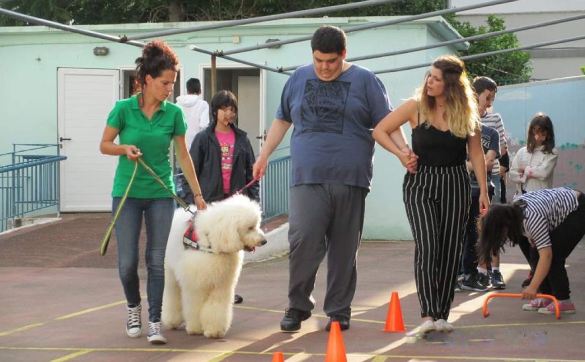 dogtherapy-argo-7