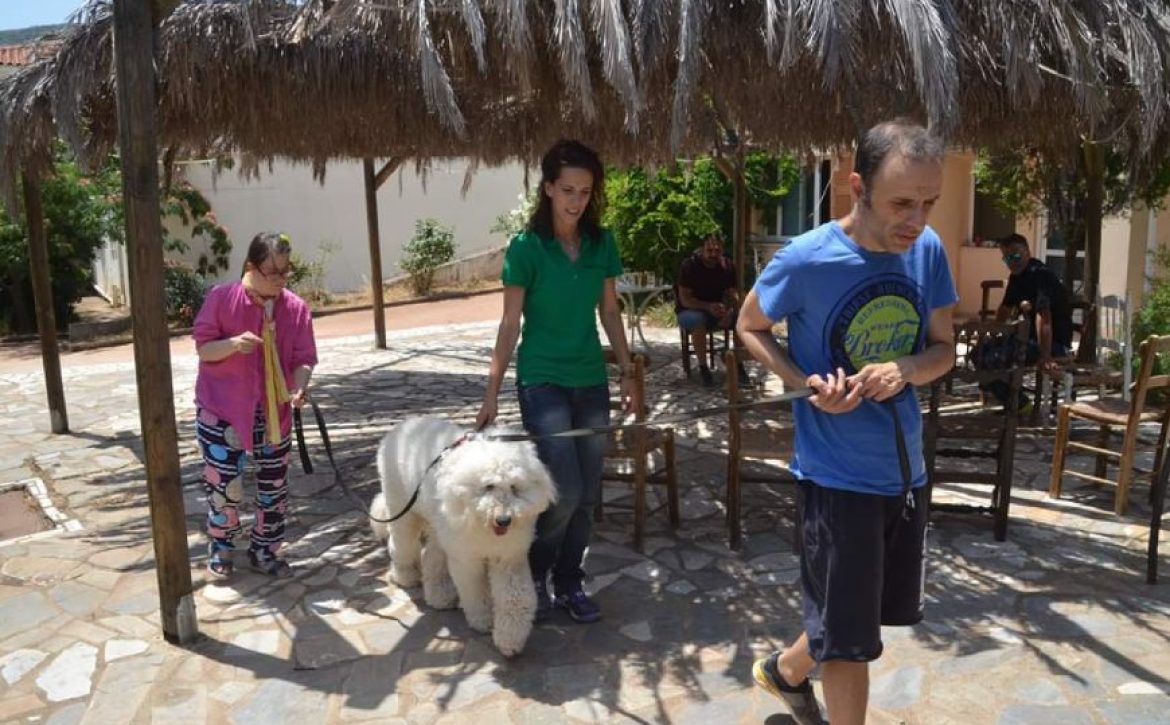 DOGTHEPY-AGIOS-NIKOLAOS-4