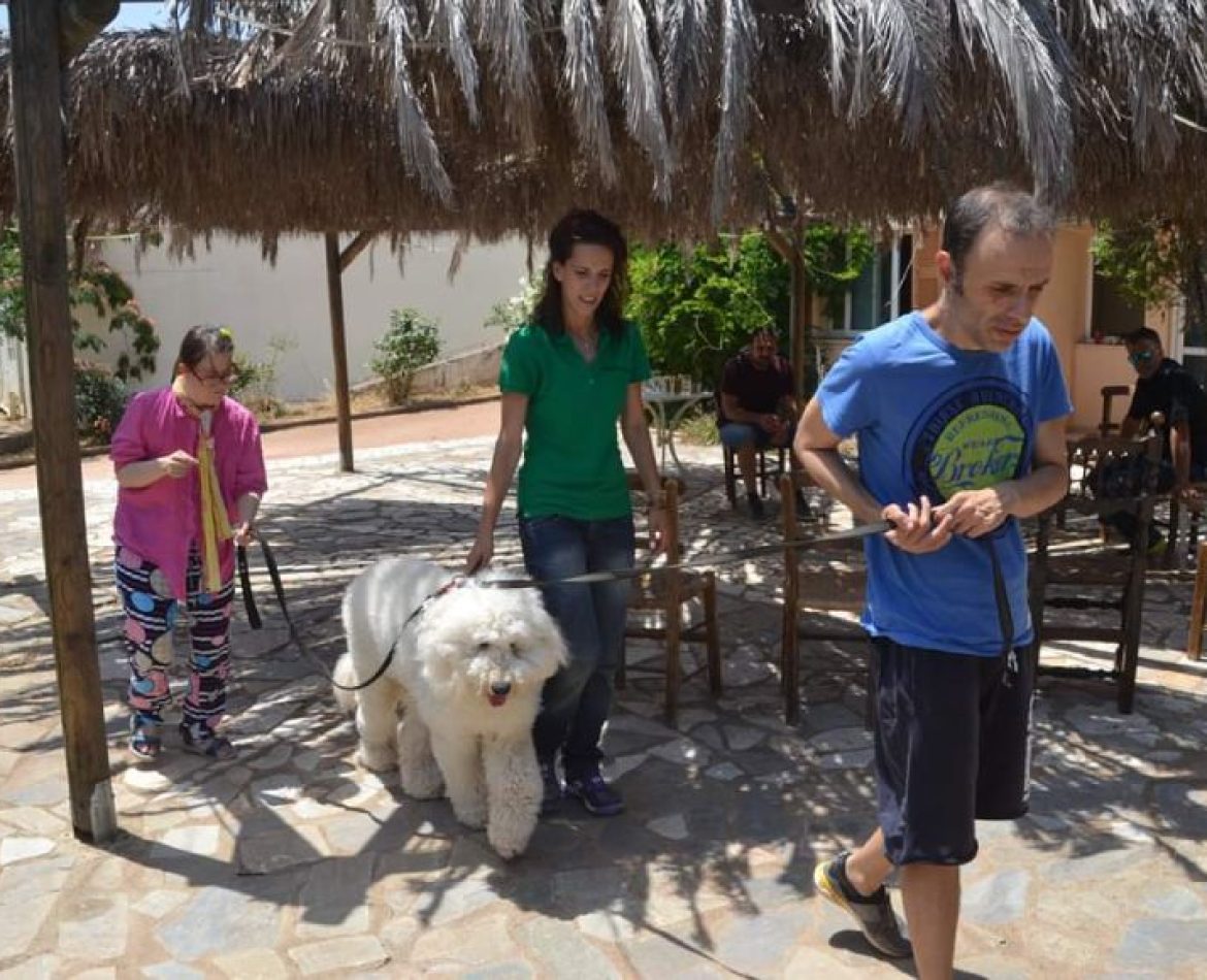 DOGTHEPY-AGIOS-NIKOLAOS-4