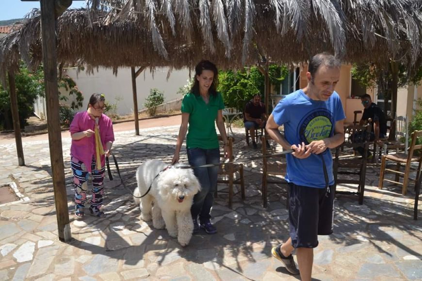 DOGTHEPY-AGIOS-NIKOLAOS-4