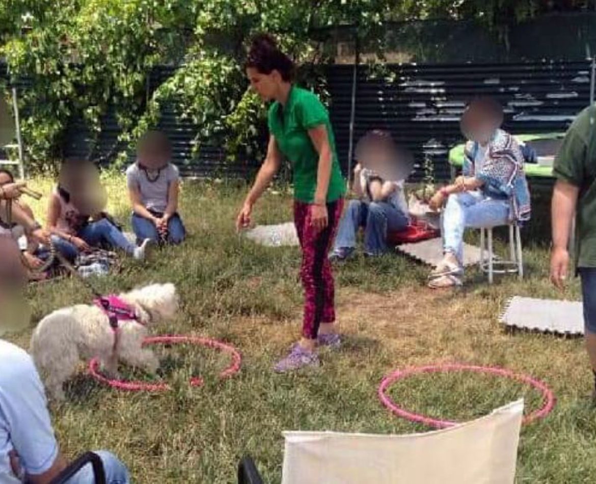 DOGTHERAPY-Iasis-Amke-Athens