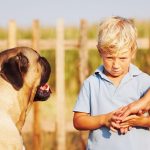 Dog Phobia and Desensitization