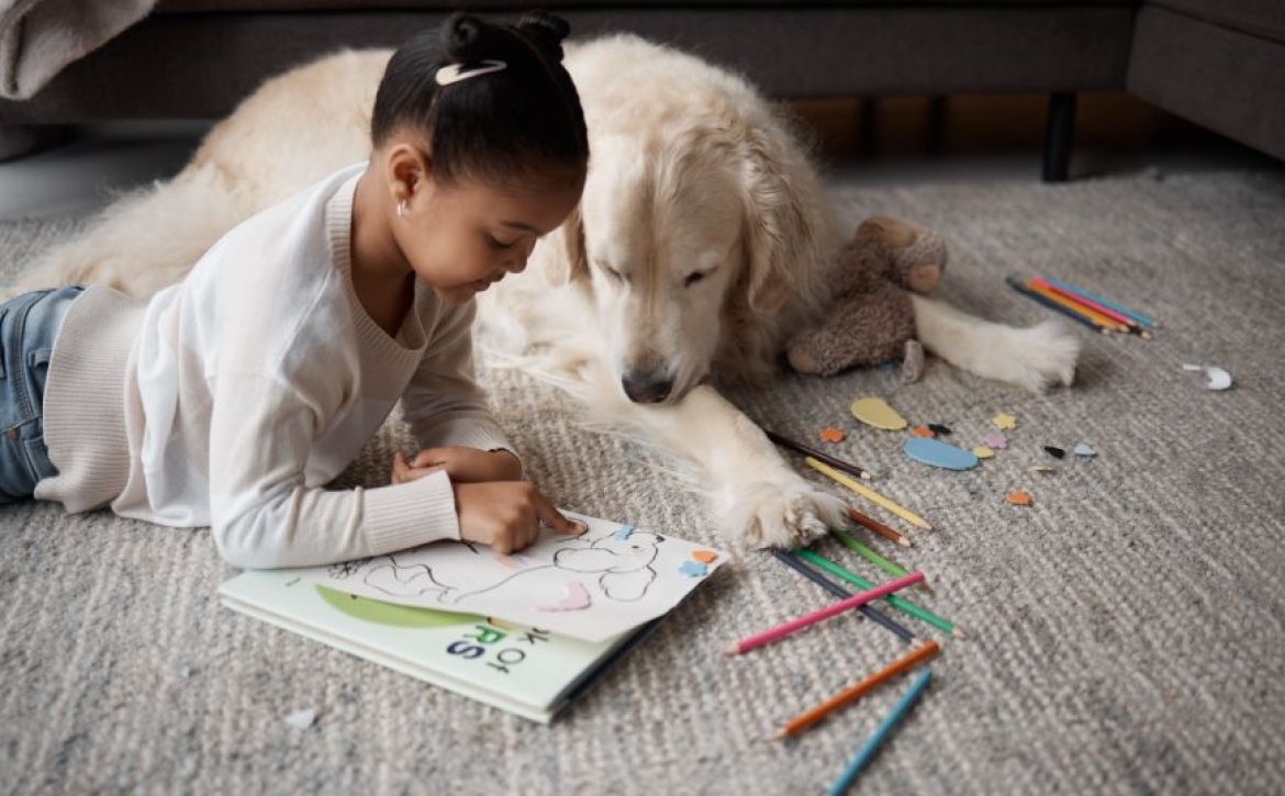 Sweet little mixed race child doing her homework while lying on the living room carpet with her puppy. Child colouring while bonding with her emotional  support rescue dog