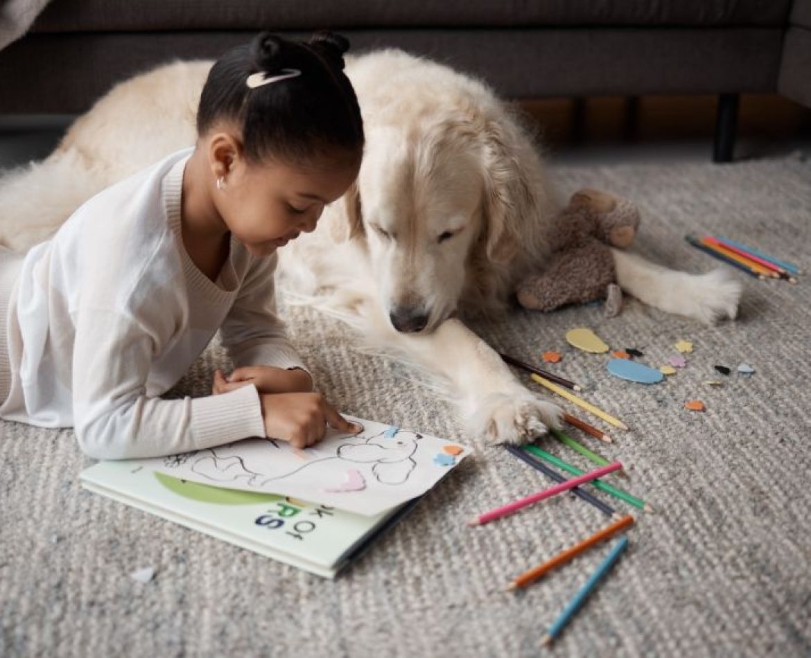 Sweet little mixed race child doing her homework while lying on the living room carpet with her puppy. Child colouring while bonding with her emotional  support rescue dog