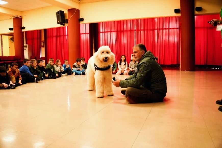 sxoli-panagiotopoulou