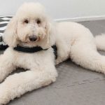 Συνέντευξη μας στην Ιστοσελίδα topetmou.gr