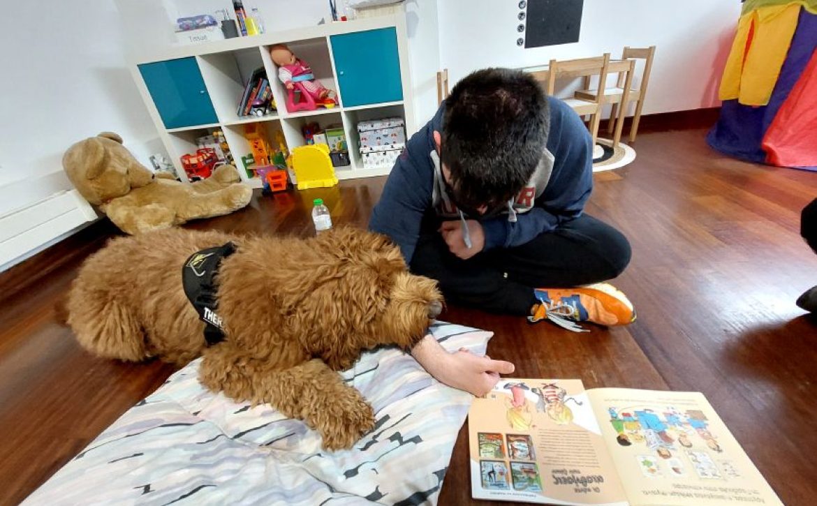 dogtherapy2ndarticle