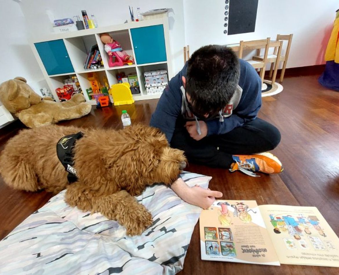 dogtherapy2ndarticle
