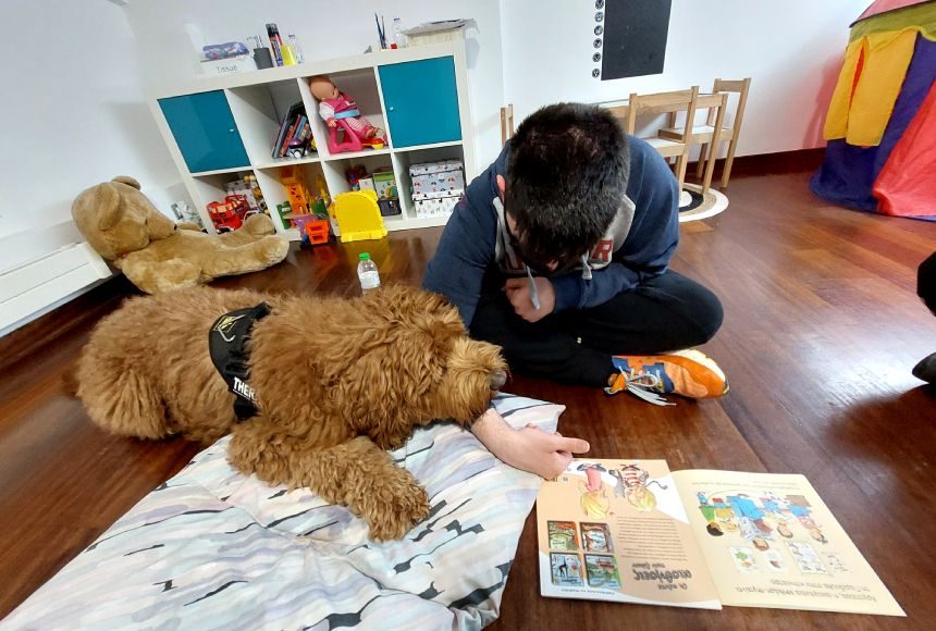 dogtherapy2ndarticle