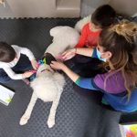 Level 1 Animal Assisted Services- Introduction